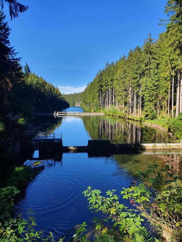 Landhaus Falkenstein Hotel Tambach Dietharz Bagian luar foto